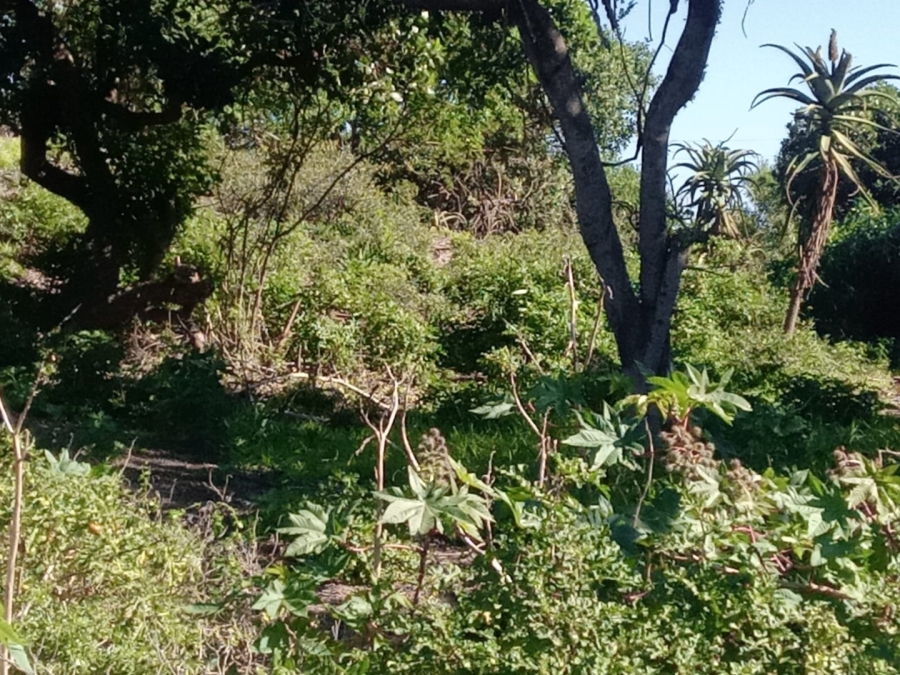 Commercial Property for Sale in Paradise Beach Eastern Cape